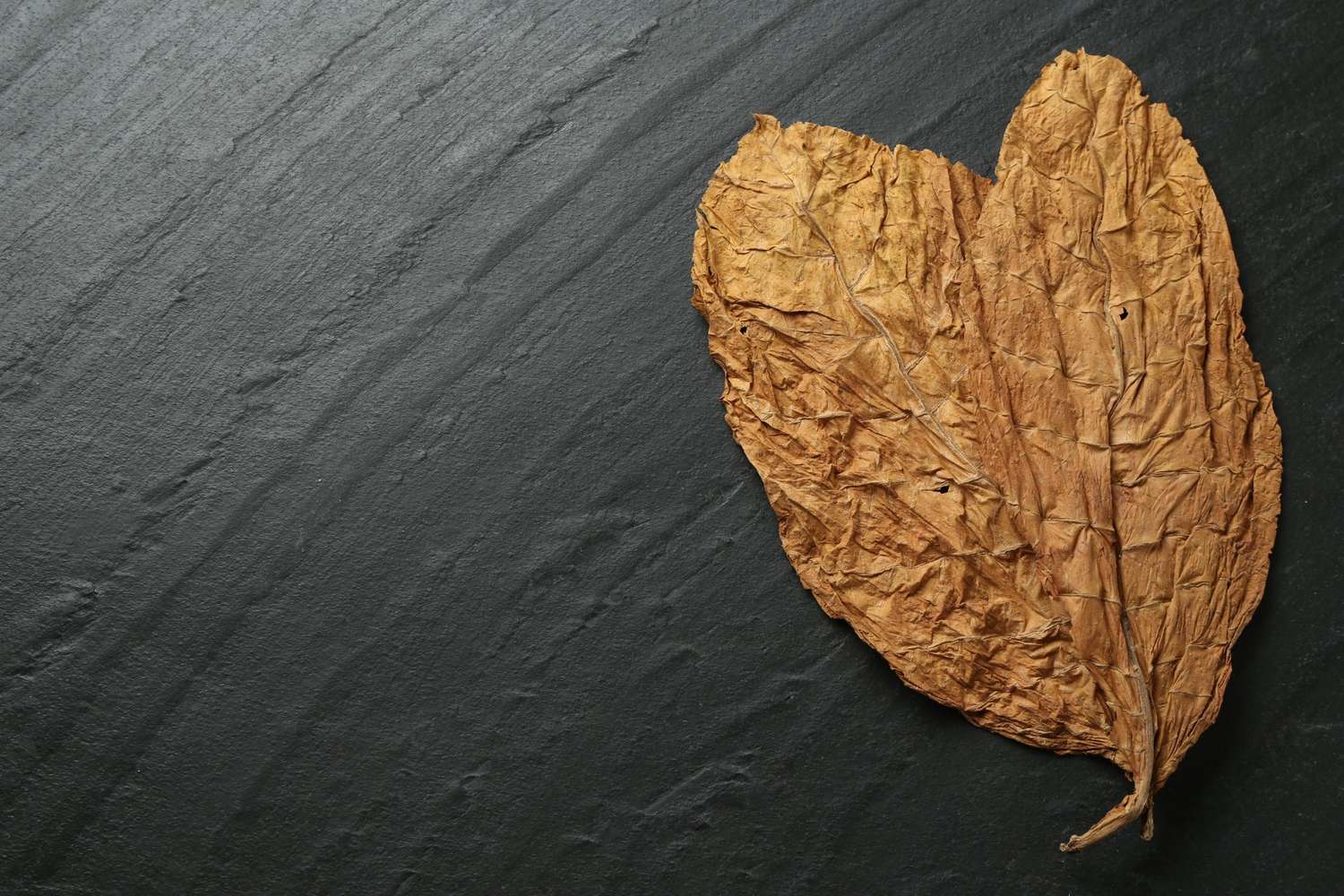 Dried tobacco leaf on a dark stone surface, representing quality products at a tobacco shop in Broken Arrow.