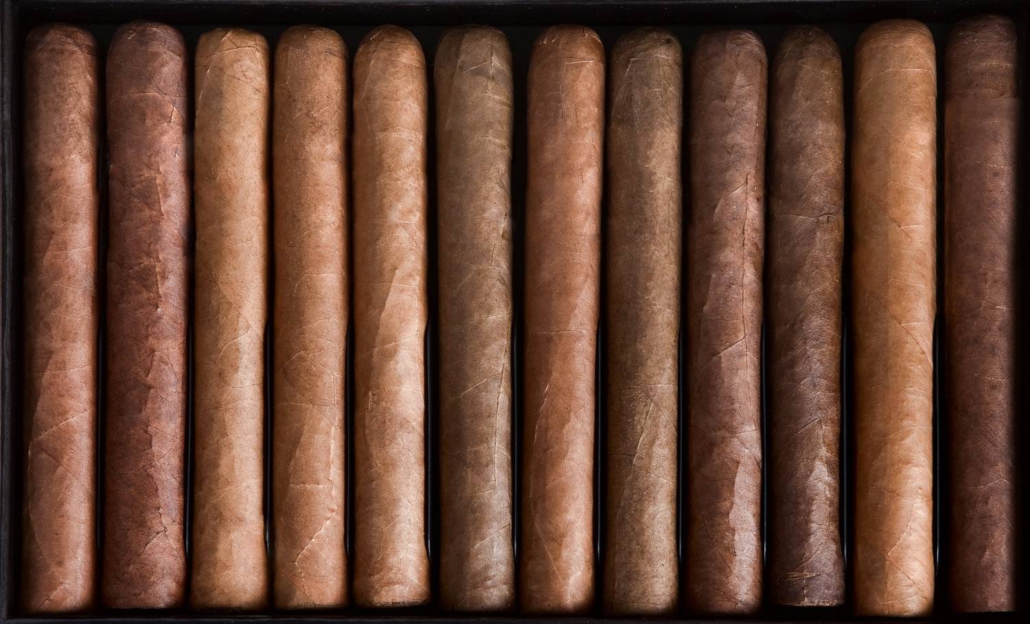 A diverse selection of tobacco leaf wrappers in a premium humidor display at a local cigar store Owasso shop.