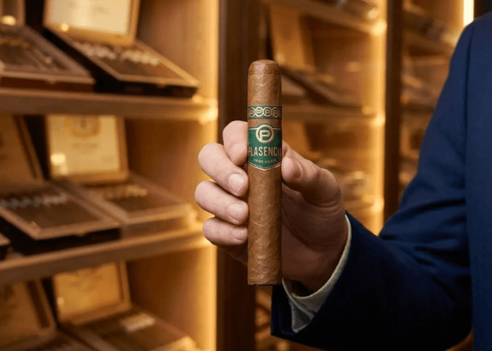 Close-up photo of a premium unlit Plasencia cigar held by a customer in a sophisticated cigar shop tulsa.