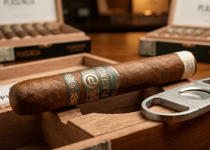 Macro view of detailed Plasencia cigar bands, showcasing the premium construction in a cigar shop tulsa.