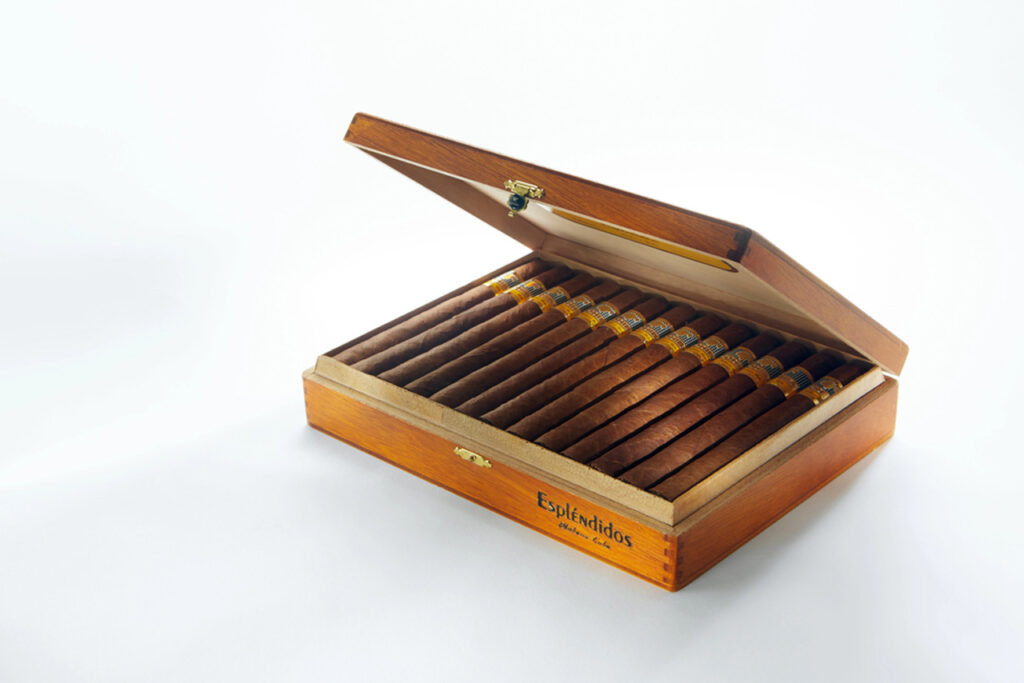 An open humidor filled with rows of premium Cohiba Espléndidos cigars. Visit our premier cigar shop houston.