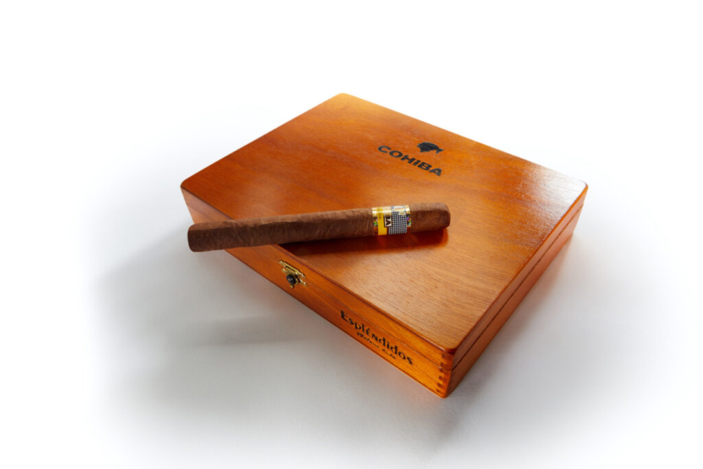 Premium Cohiba Splendid cigar on a glossy humidor. Find luxury selections at our cigar shop houston.