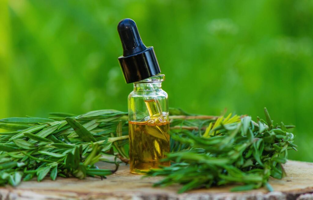 Organic hemp oil bottle from a CBD store Tulsa on a rustic wooden log with vibrant green rosemary leaves.