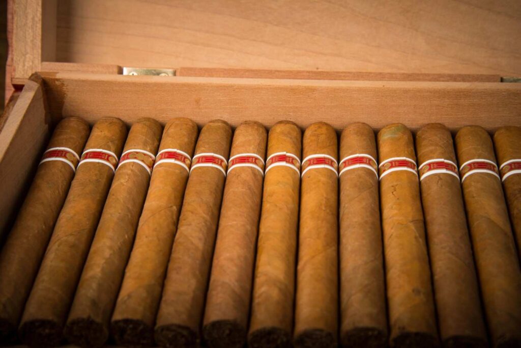 Row of fresh cigars neatly displayed inside a wooden humidor box at a popular cigarette shop Houston storefront. 