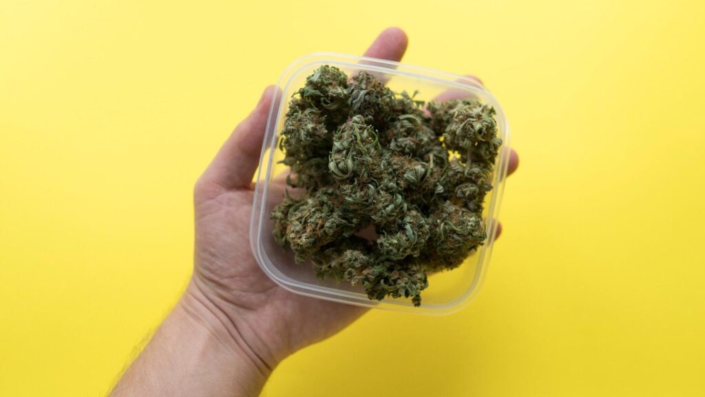 Premium cannabis flower buds from a top delta 8 store Tulsa option, displayed in a clear plastic container.