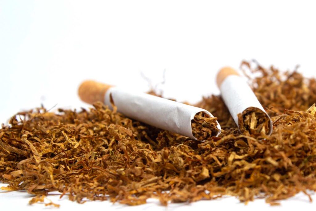 Two filtered cigarettes resting on shredded tobacco at a tobacco shop Tulsa.
