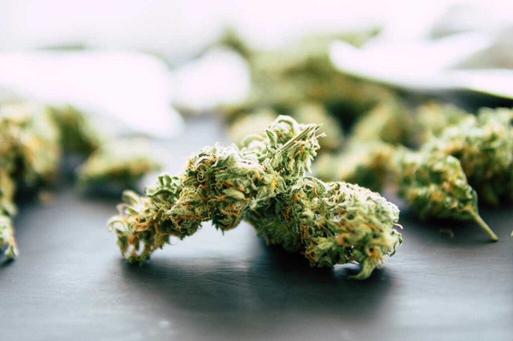 Macro view of premium hemp flower buds available at a premier delta 8 store Tulsa location for local enthusiasts.